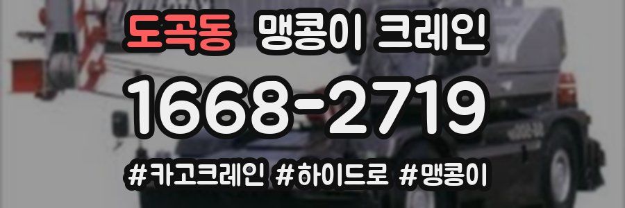 도곡동 맹콩이 크레인