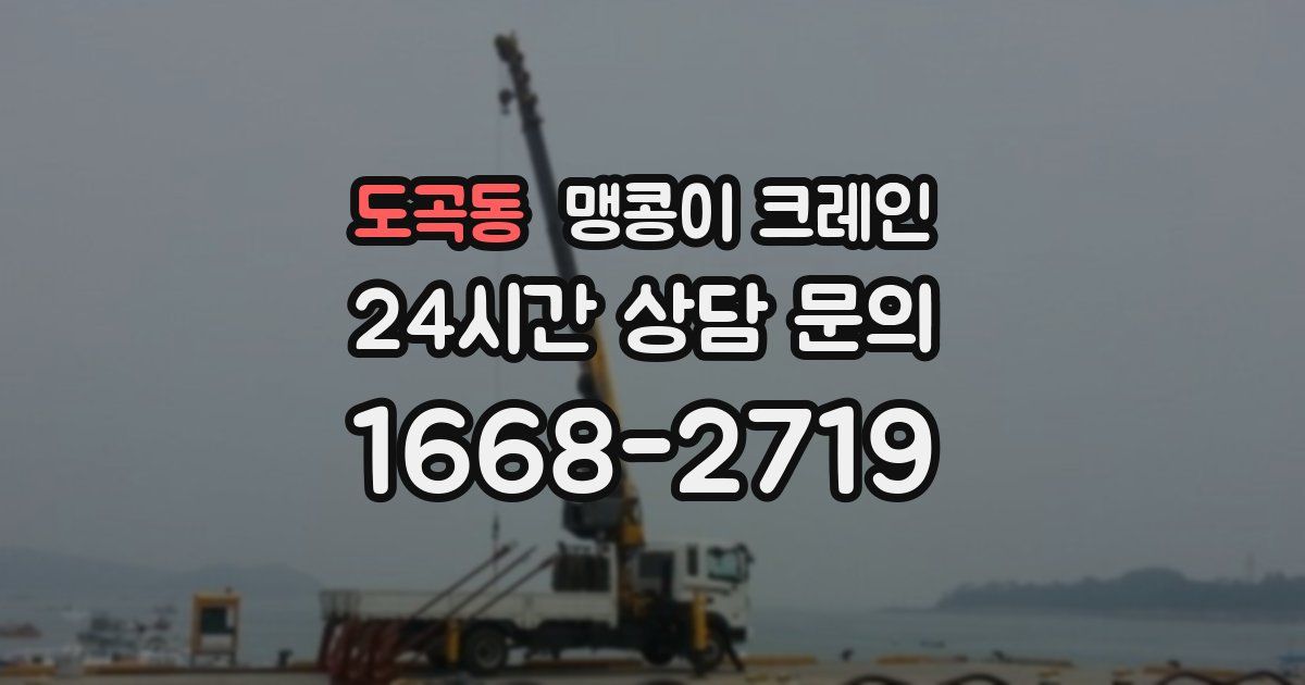 도곡동 맹콩이 크레인