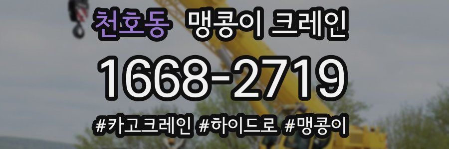 천호동 맹콩이 크레인