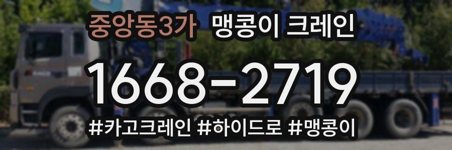 중앙동3가 맹콩이 크레인