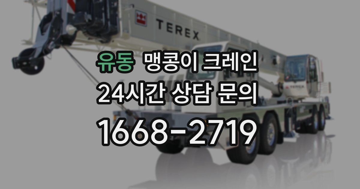 유동 맹콩이 크레인