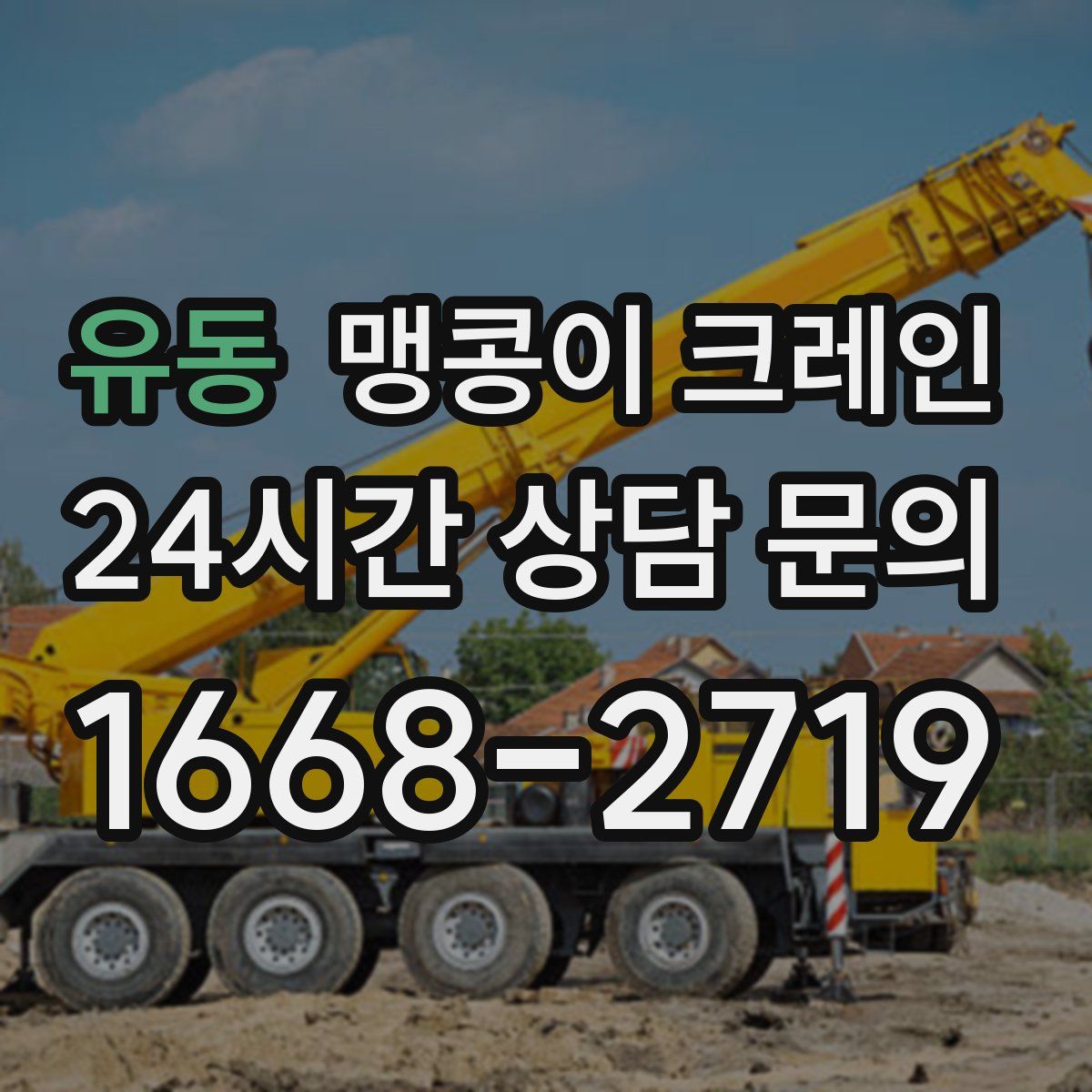 유동 맹콩이 크레인