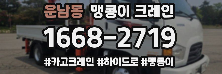 운남동 맹콩이 크레인