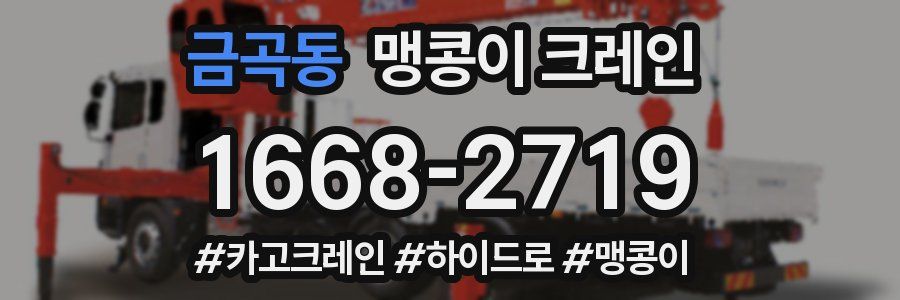 금곡동 맹콩이 크레인