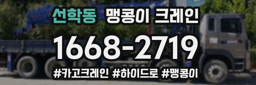 선학동 맹콩이 크레인