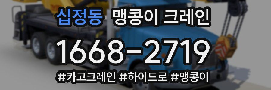 십정동 맹콩이 크레인