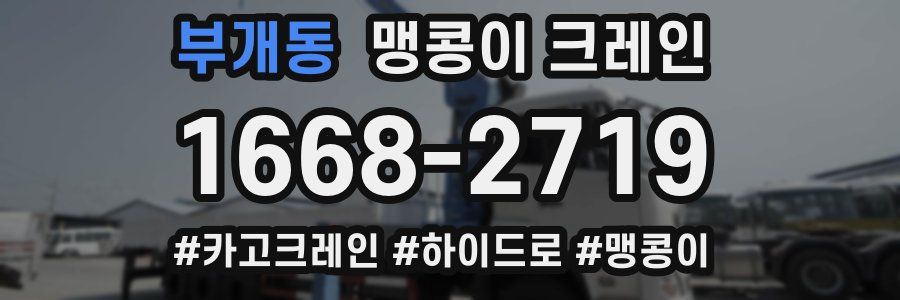 부개동 맹콩이 크레인