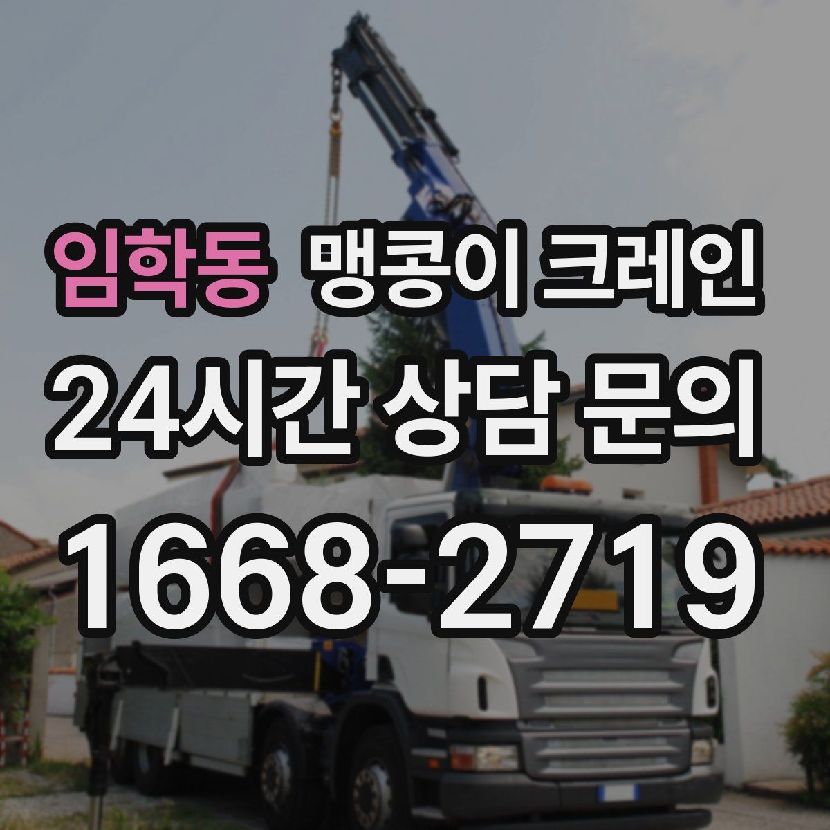 임학동 맹콩이 크레인