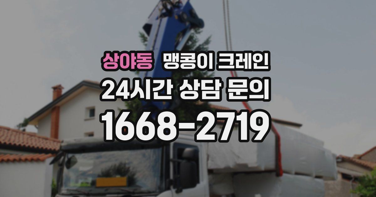 상야동 맹콩이 크레인