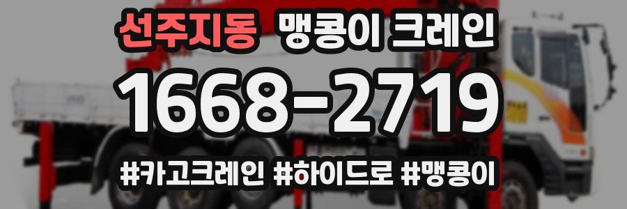 선주지동 맹콩이 크레인