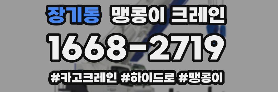 장기동 맹콩이 크레인