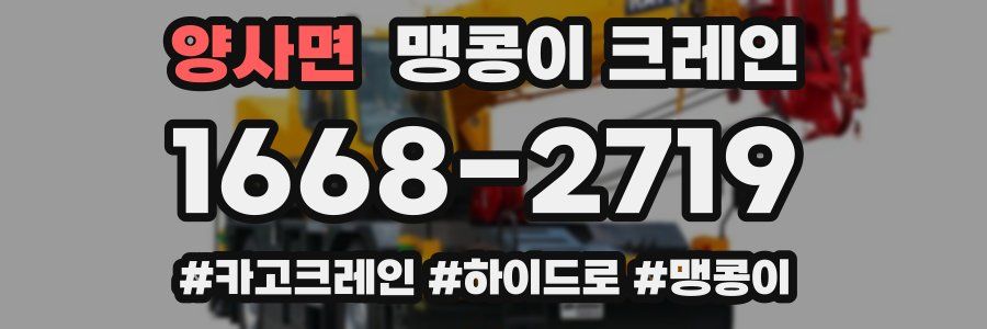 양사면 맹콩이 크레인