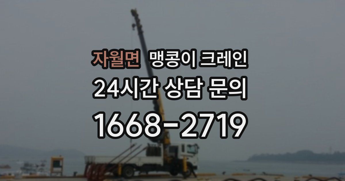 자월면 맹콩이 크레인
