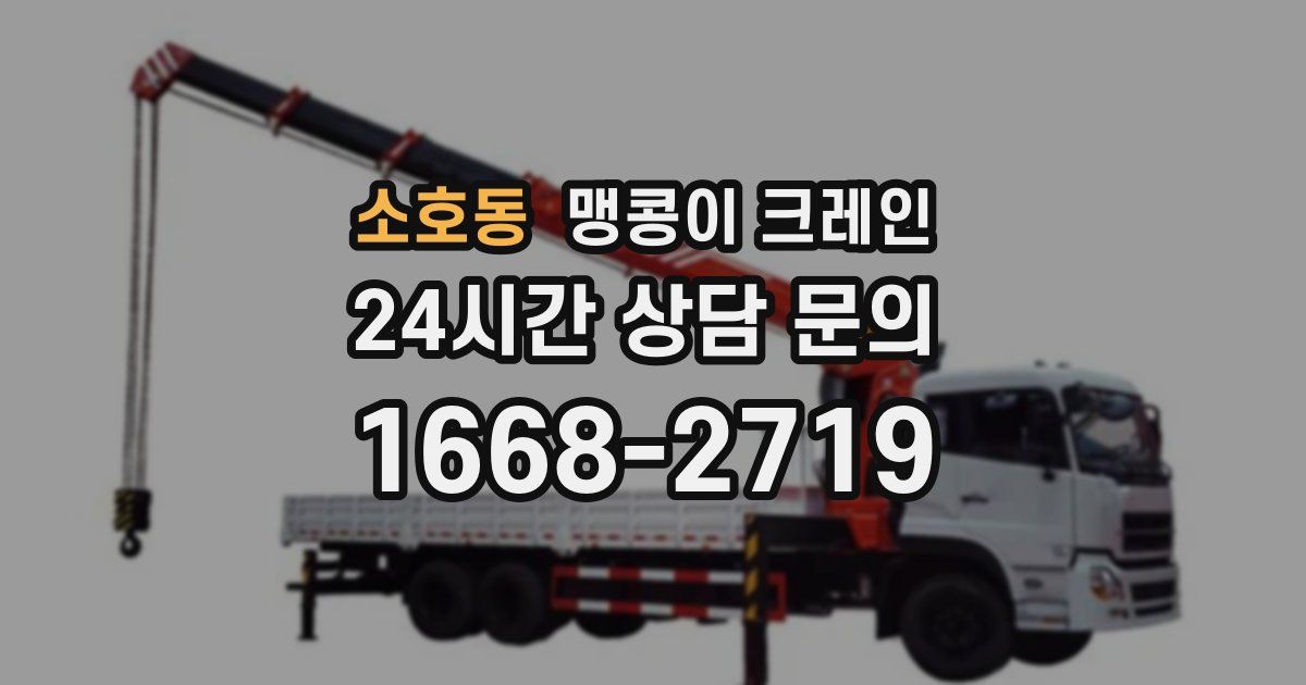 소호동 맹콩이 크레인