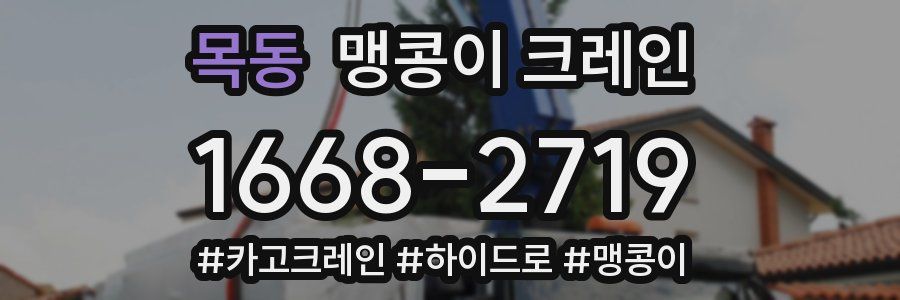 목동 맹콩이 크레인