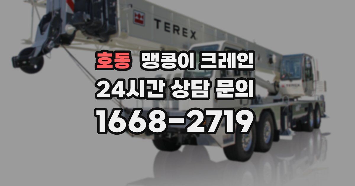 호동 맹콩이 크레인