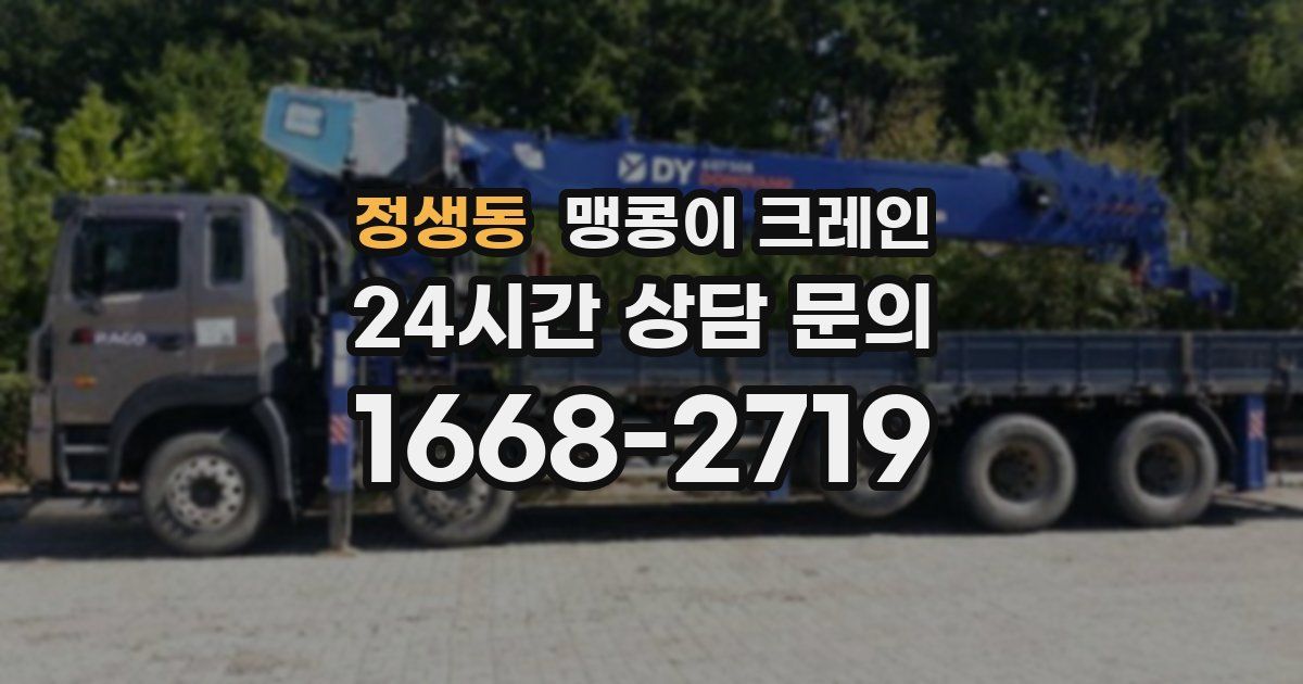 정생동 맹콩이 크레인