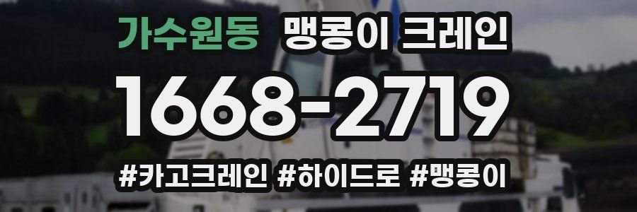 가수원동 맹콩이 크레인