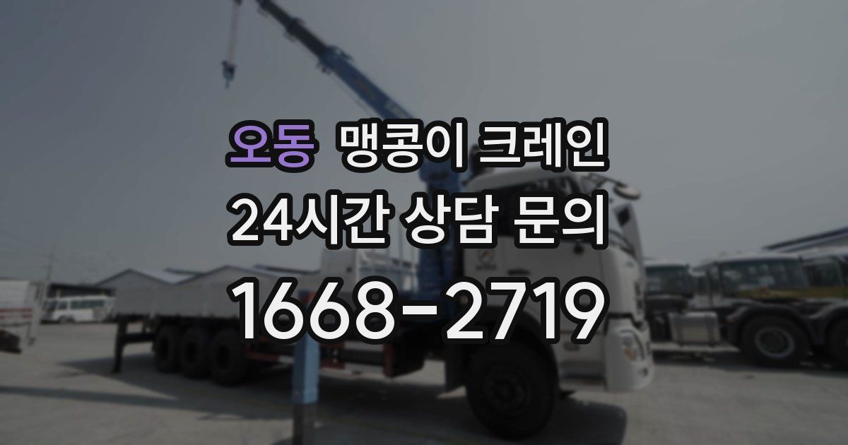 오동 맹콩이 크레인