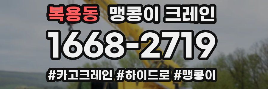 복용동 맹콩이 크레인