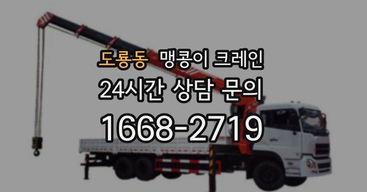 도룡동 맹콩이 크레인