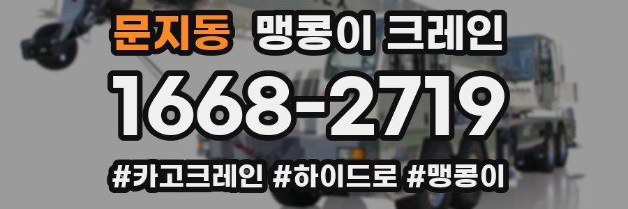 문지동 맹콩이 크레인