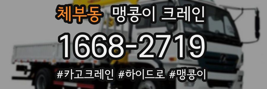 체부동 맹콩이 크레인