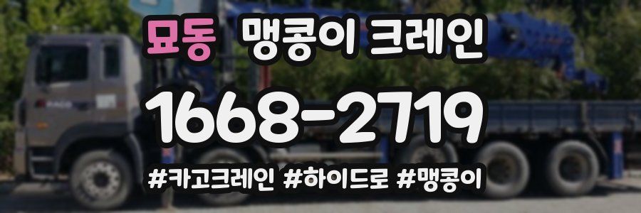 묘동 맹콩이 크레인