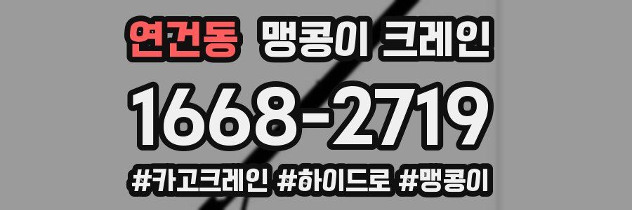 연건동 맹콩이 크레인