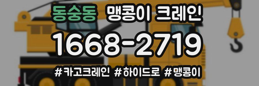 동숭동 맹콩이 크레인