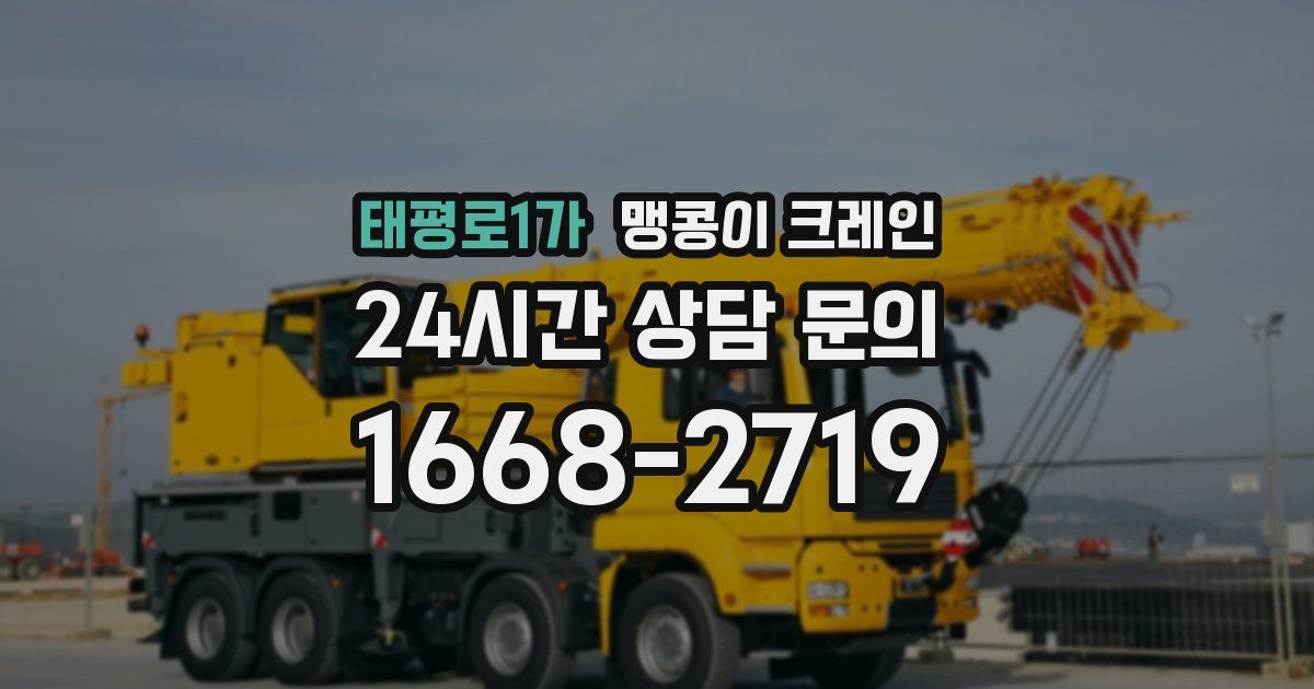 태평로1가 맹콩이 크레인