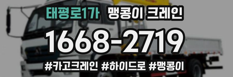 태평로1가 맹콩이 크레인