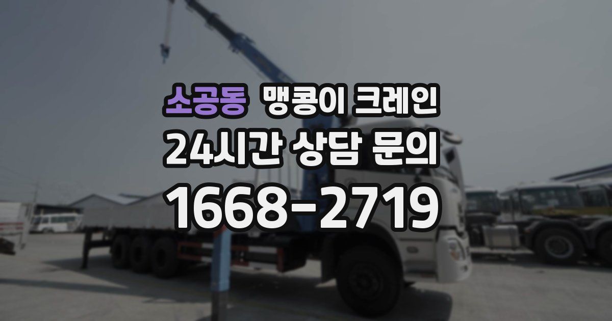 소공동 맹콩이 크레인