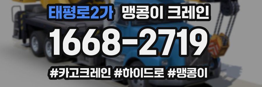 태평로2가 맹콩이 크레인