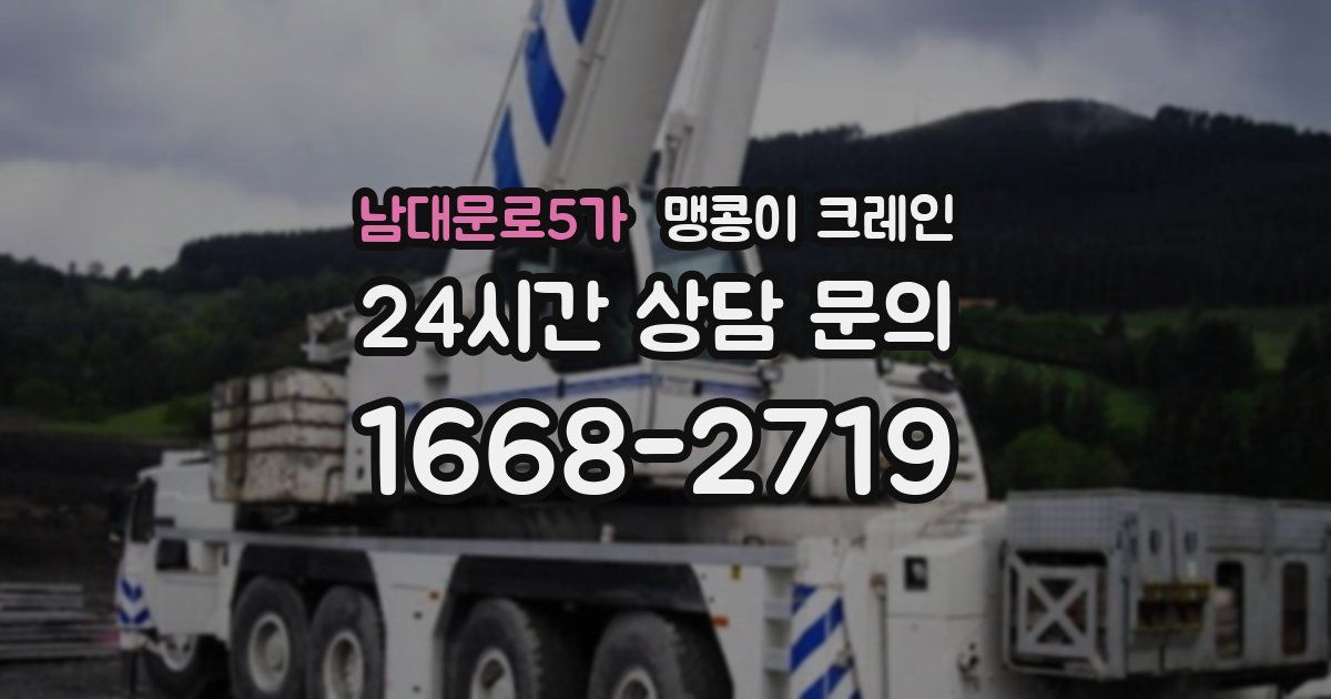 남대문로5가 맹콩이 크레인