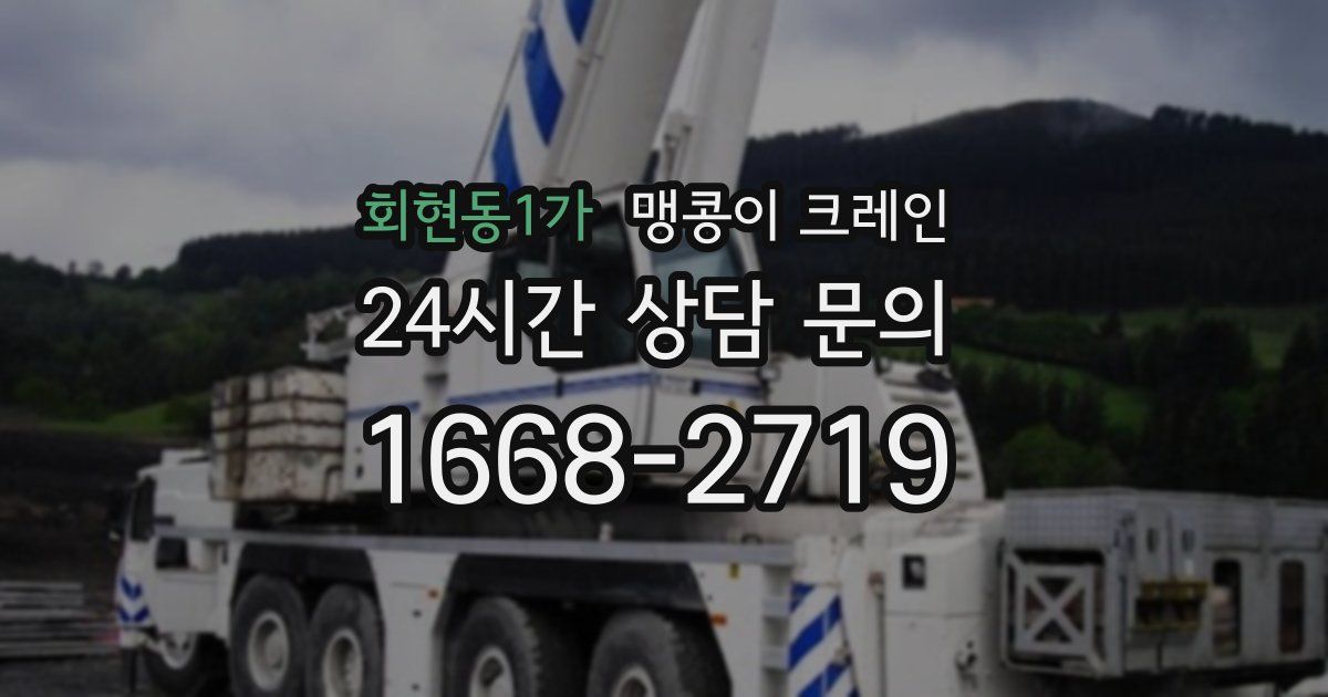 회현동1가 맹콩이 크레인