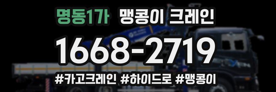 명동1가 맹콩이 크레인