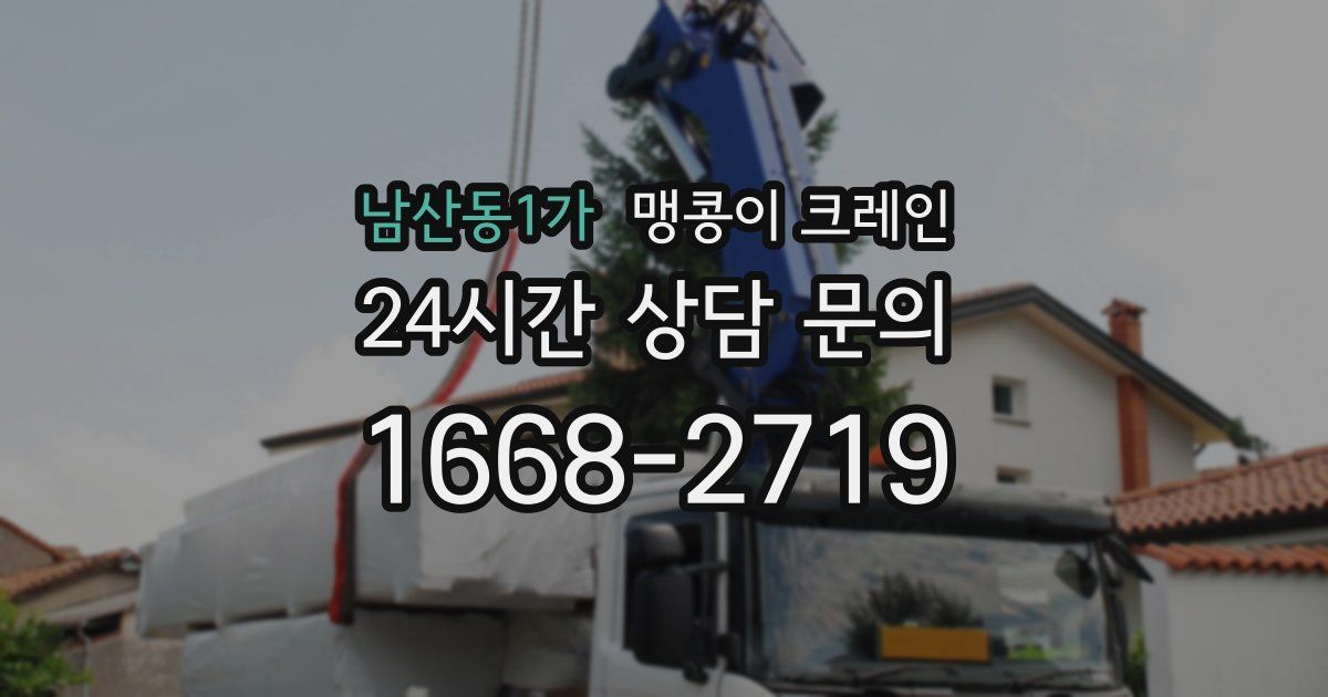 남산동1가 맹콩이 크레인