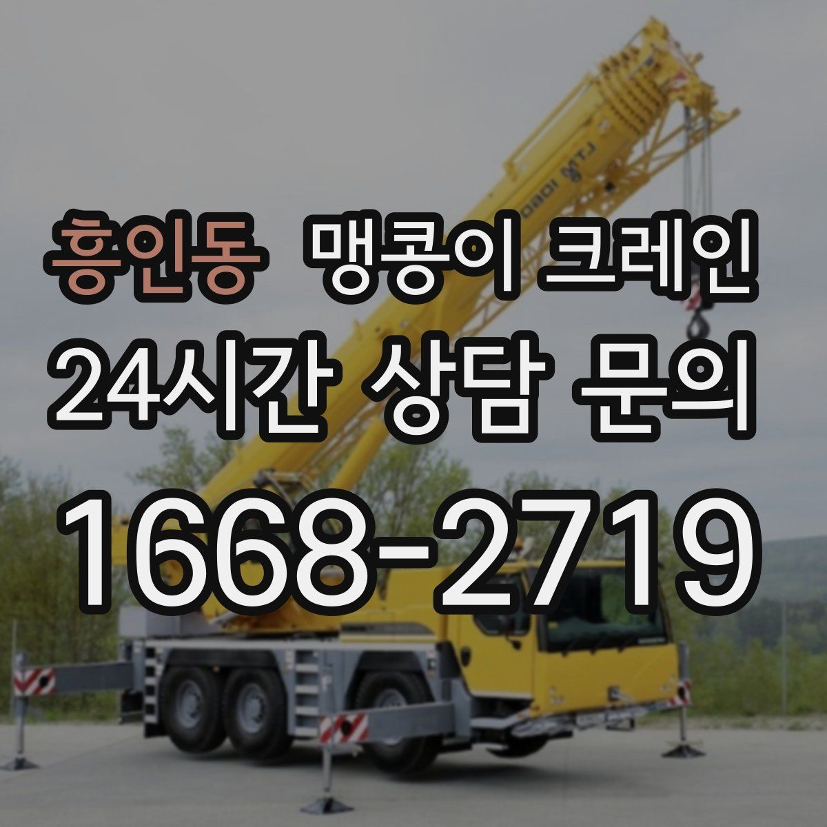 흥인동 맹콩이 크레인