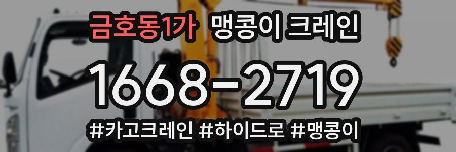 금호동1가 맹콩이 크레인