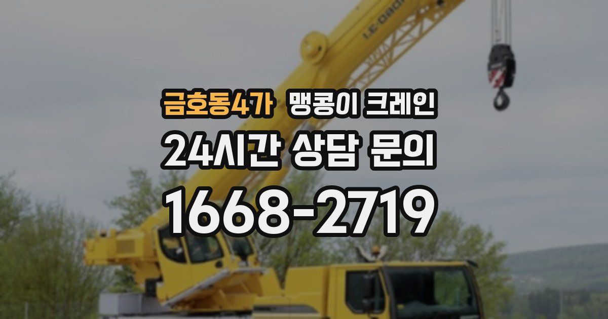 금호동4가 맹콩이 크레인