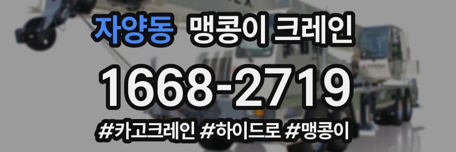 자양동 맹콩이 크레인