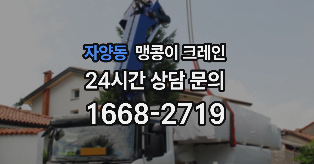 자양동 맹콩이 크레인