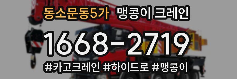 동소문동5가 맹콩이 크레인