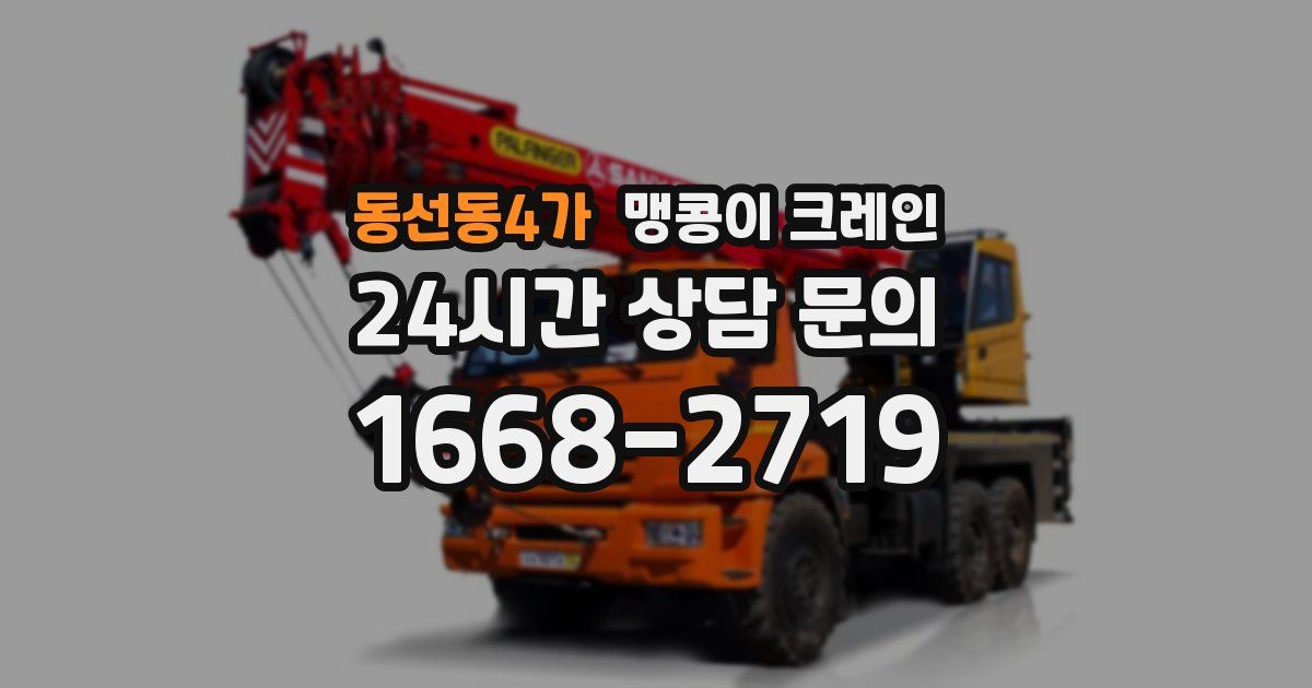 동선동4가 맹콩이 크레인
