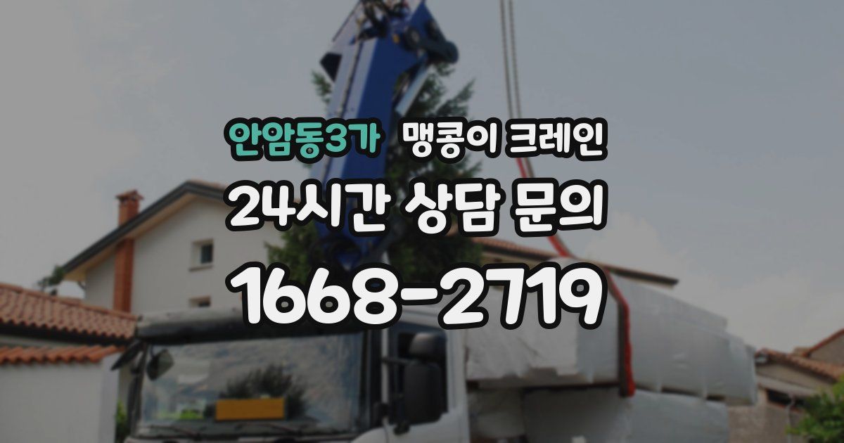 안암동3가 맹콩이 크레인
