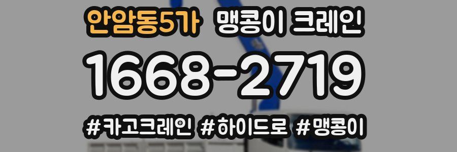 안암동5가 맹콩이 크레인