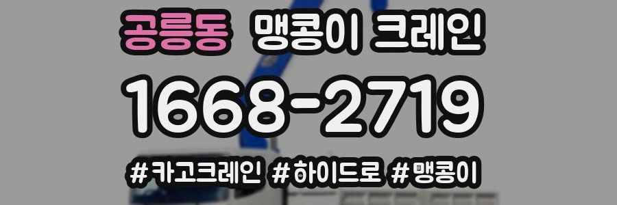공릉동 맹콩이 크레인