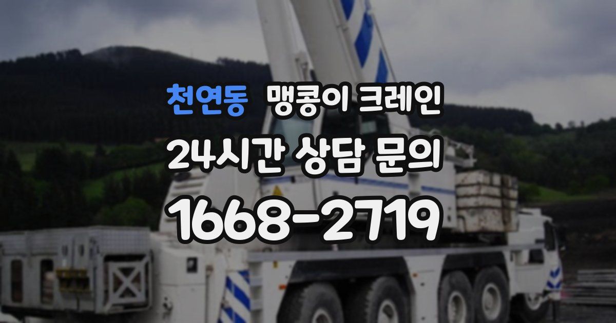 천연동 맹콩이 크레인