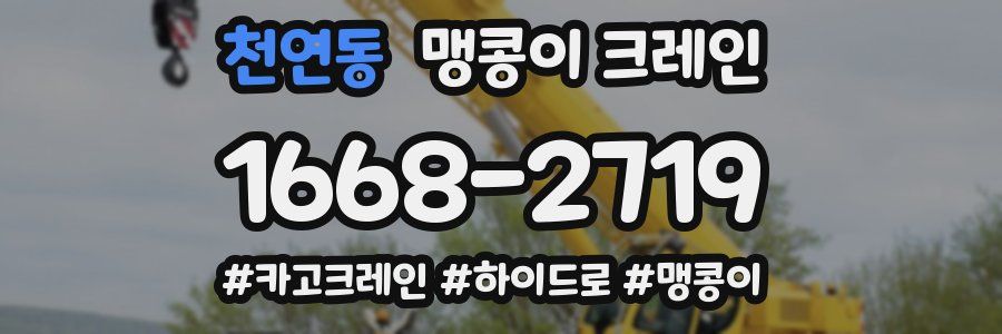천연동 맹콩이 크레인